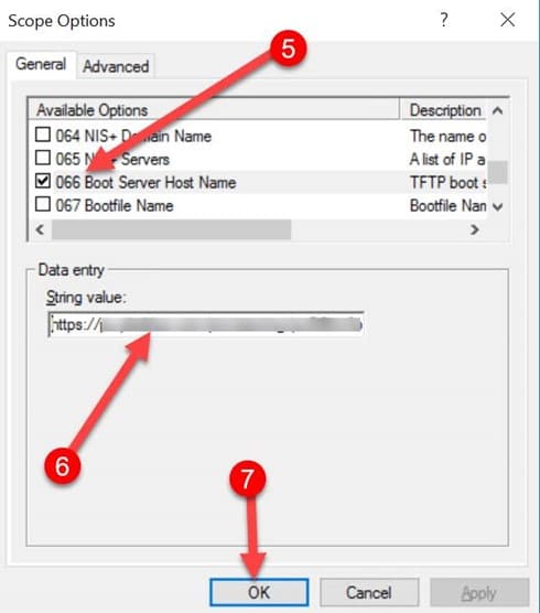Windows DHCP Option 66